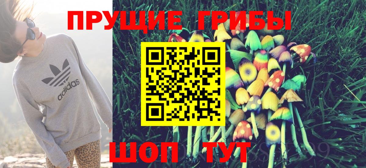 Псилоцибиновые грибы ЛСД Магадан