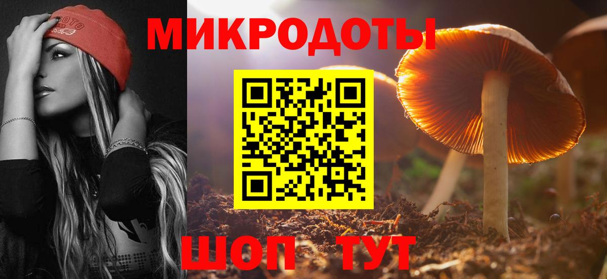 Галлюциногенные грибы Cubensis  Псилоцибиновые грибы MAGIC MUSHROOMS  Вход с VPN  Магадан 